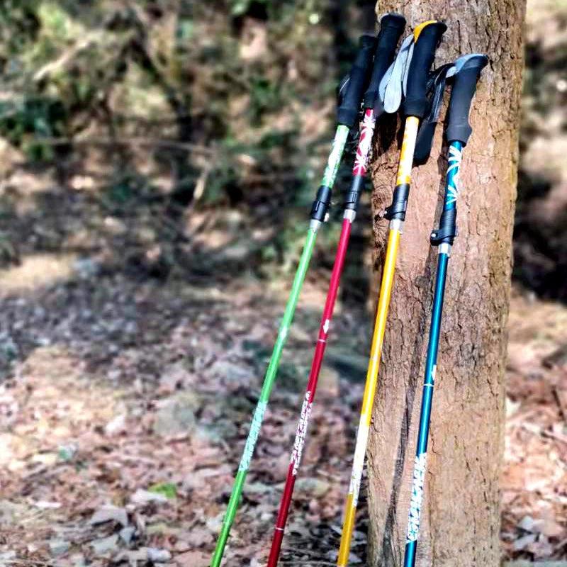 Walking Pole