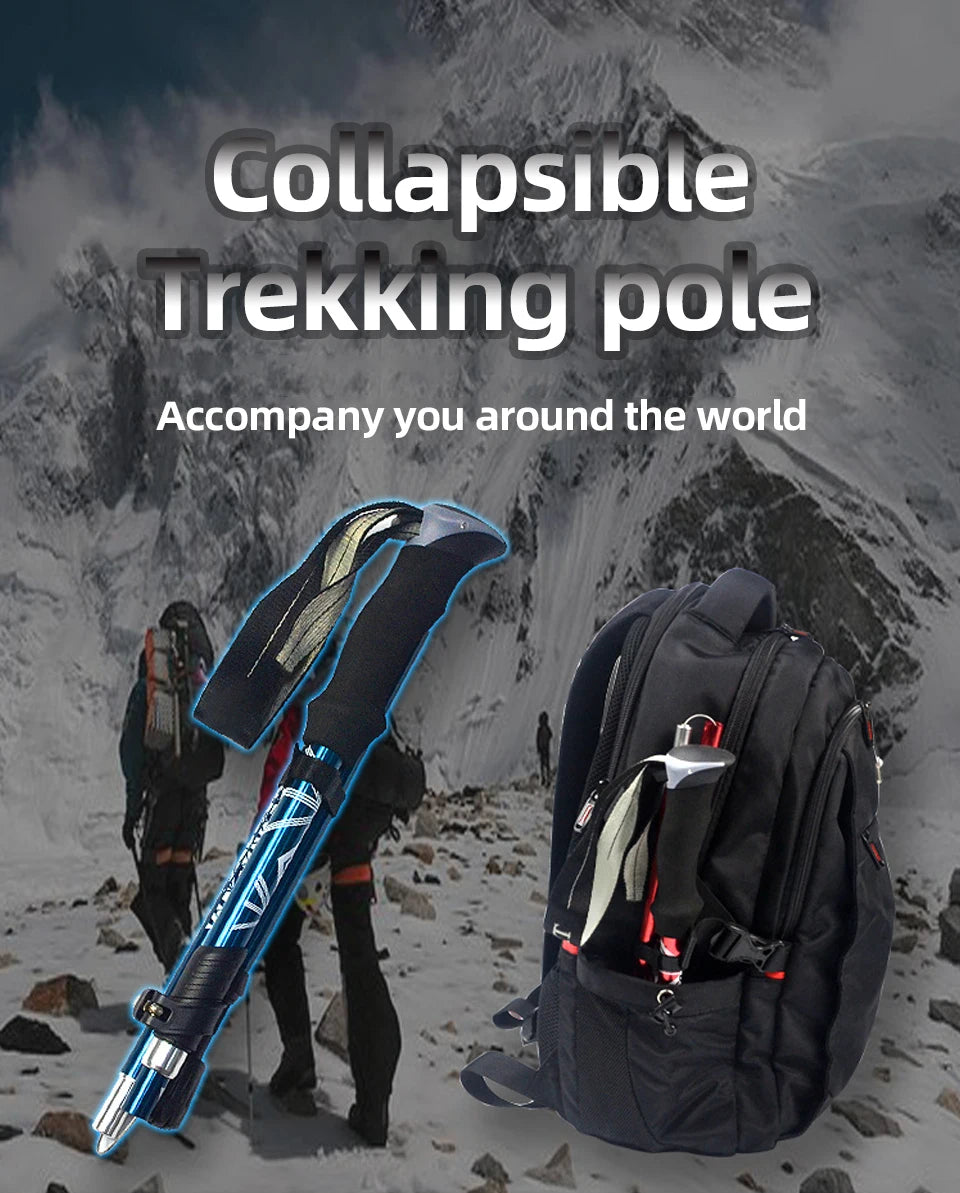 Walking Pole
